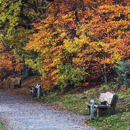 Apartment Homes - Beckside *